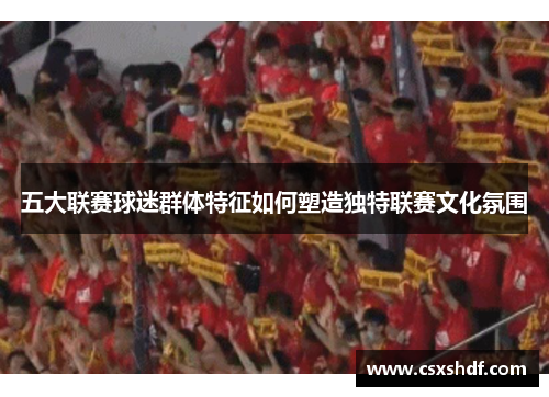 五大联赛球迷群体特征如何塑造独特联赛文化氛围