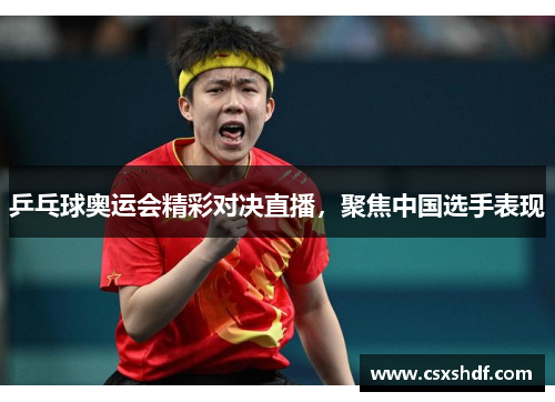 乒乓球奥运会精彩对决直播，聚焦中国选手表现