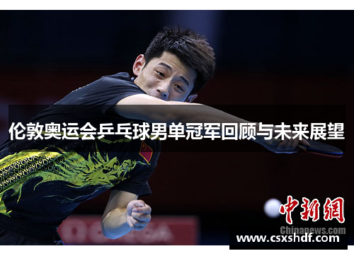 伦敦奥运会乒乓球男单冠军回顾与未来展望